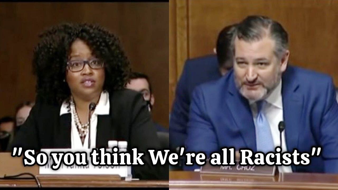 Dem Witness Calls Senator Ted Cruz RACIST, Instantly REGRETS it!!