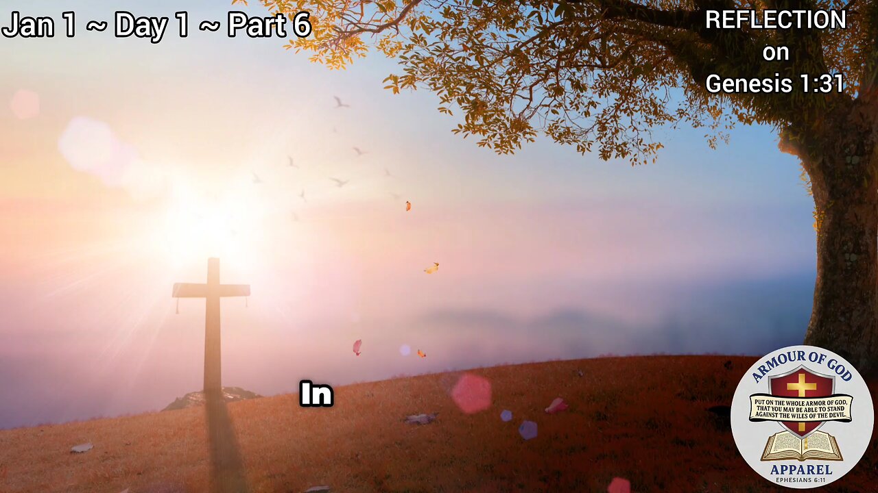 Bible in a Year! Jan 1 ~ Day 1 ~ Part 6. REFLECTION on Genesis 1:31.