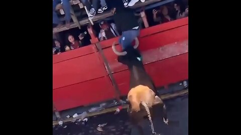Bull Leaves Guy Needing Serious Butthole Surgery