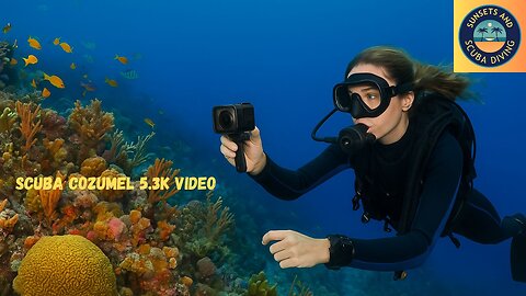 Exploring the Secret World of Coral Reefs!