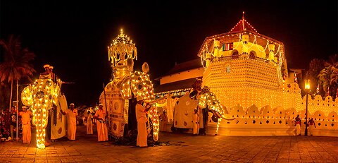 🔥 The Heartbeat of the Perahera – Sri Lankan Drummers in Action! 🔥
