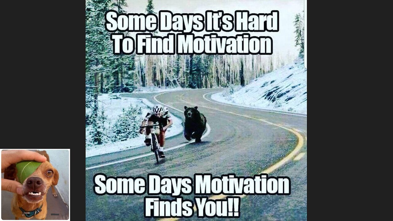 Memes That Will 99.0522% Make You Laugh. (e746)