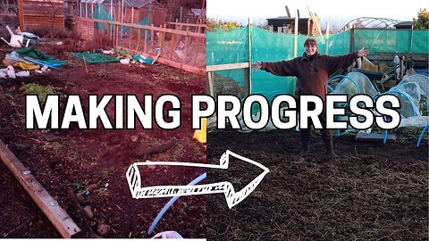 February Allotment Tour: a Weekend of BIG Progress + Why You NEED Plantain in YOUR Garden!