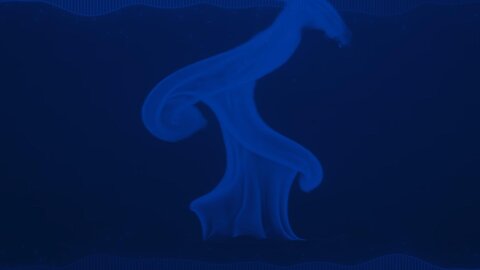 C.P.B.C. - Unyielding Flame