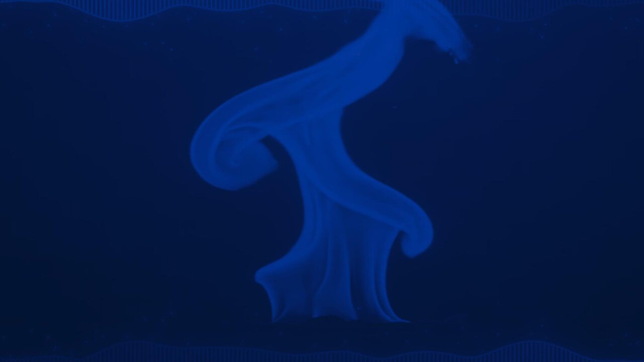 C.P.B.C. - Unyielding Flame