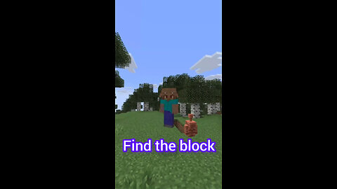 Find the block #minecraft #block