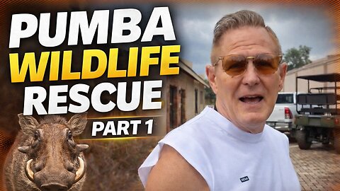 PUMBA WILD LIFE RESCUE 🦁 🐅 🦁SOUTH AFRICA WITH DR.DARRELL WOLFE LIVE & WILD 💪🏿♥️💪🏿 Part 1