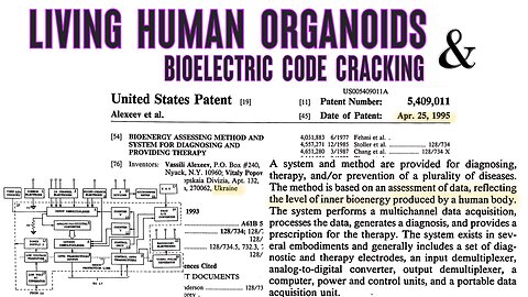 Living Human Organoids & Bioelectric Code Cracking