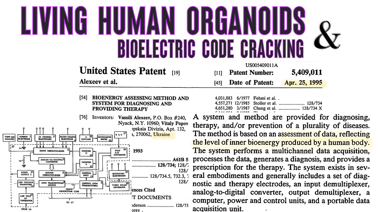 Living Human Organoids & Bioelectric Code Cracking