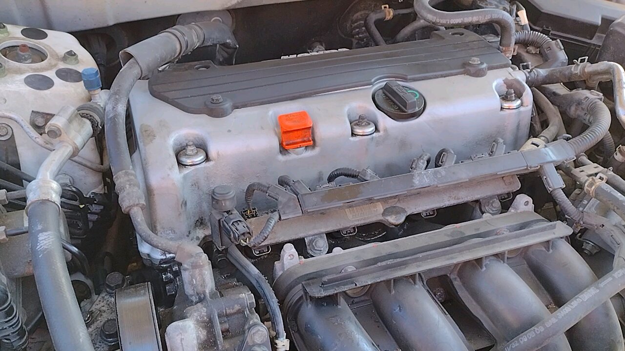 2010 Honda Accord LX-P Up and Running