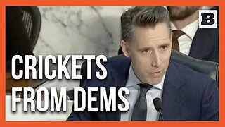 Hawley: Biden "Tapped" Republican Senators' Phones