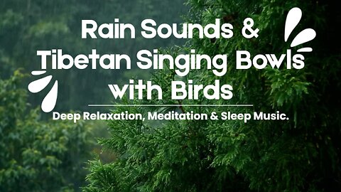 Rain Sounds & Tibetan Singing Bowls with Birds | Deep Relaxation, Meditation & Sleep Music.