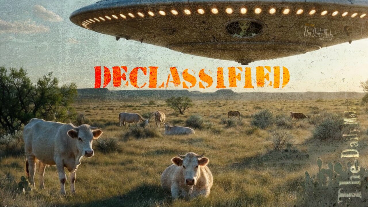 UFOs Are Real, Right? | Ep: 112425 The Daily MoJo