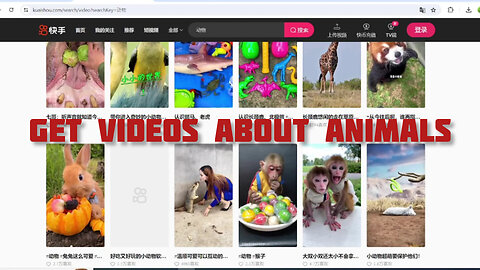 Get videos about animals
