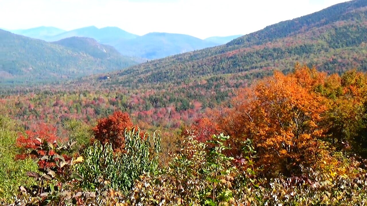 Fall Foliage
