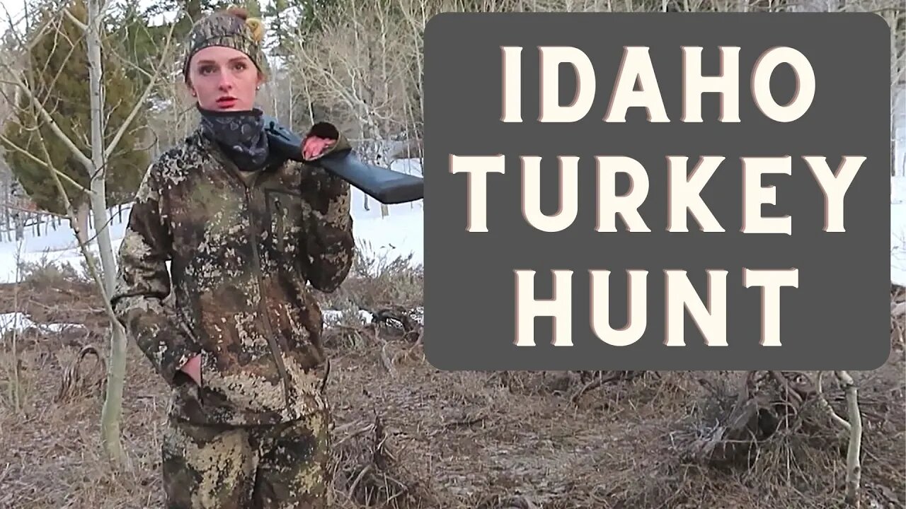 2020 Idaho Turkey Hunt | Day 2 | So Close | Thunder Chicken Hunting | Hunting Big Tom | Tom Turkey