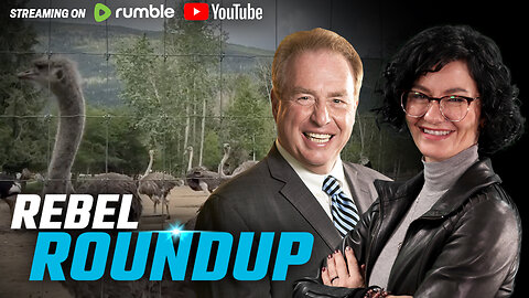 Feds foreign censorship warning, Immigration & home affordability, Ostrich deepfakes | Rebel Roundup