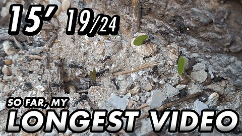 ASMR - 1st year of the channel! Finally, I can upload longer videos - 15' 19/24