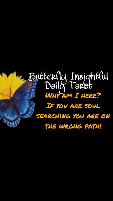 Butterfly Insightful Daily Tarot - Soul searching will give you courage to change!