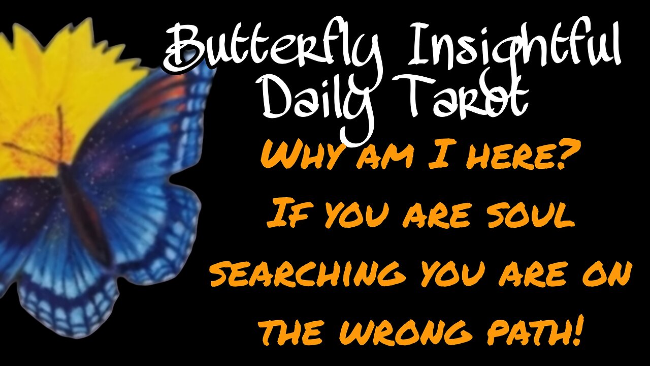 Butterfly Insightful Daily Tarot - Soul searching will give you courage to change!