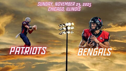 New England Patriots @ Cincinnati Bengals, Week 12, Diggin' Deeper into the NFL