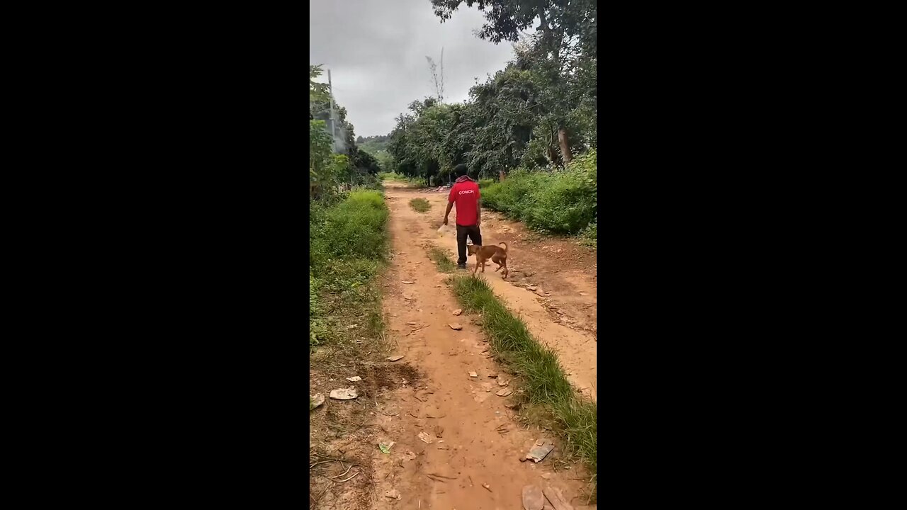 Young Wild And Free - Wiz Khalifa, Snoop Dogg