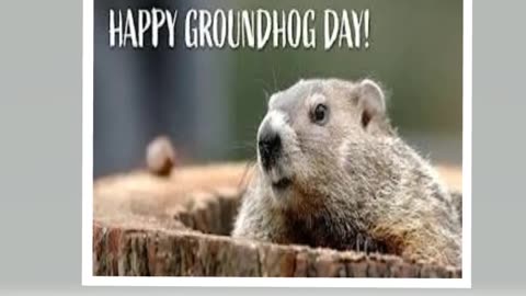 Happy Groundhog Day