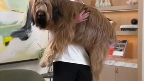 Holding Bigger And Bigger Dogs