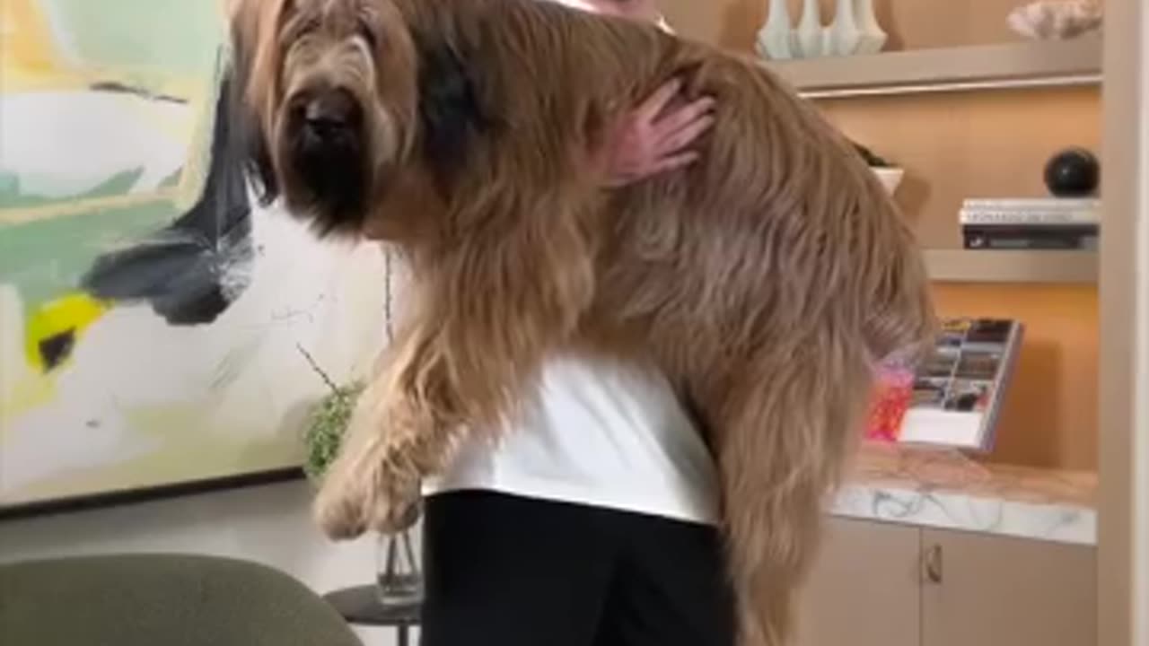 Holding Bigger And Bigger Dogs