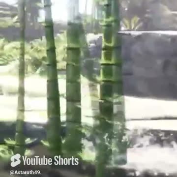 McDicken. Monster Hunter. Ep. (1)? Eat her! #monsterhunterworld