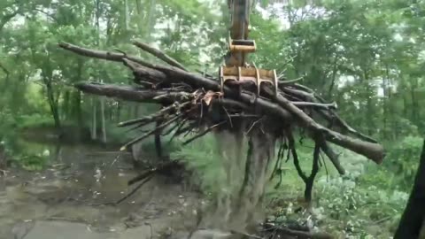 Yonaka Bulldozing: Ep 18 Swamp Land River Clean Out