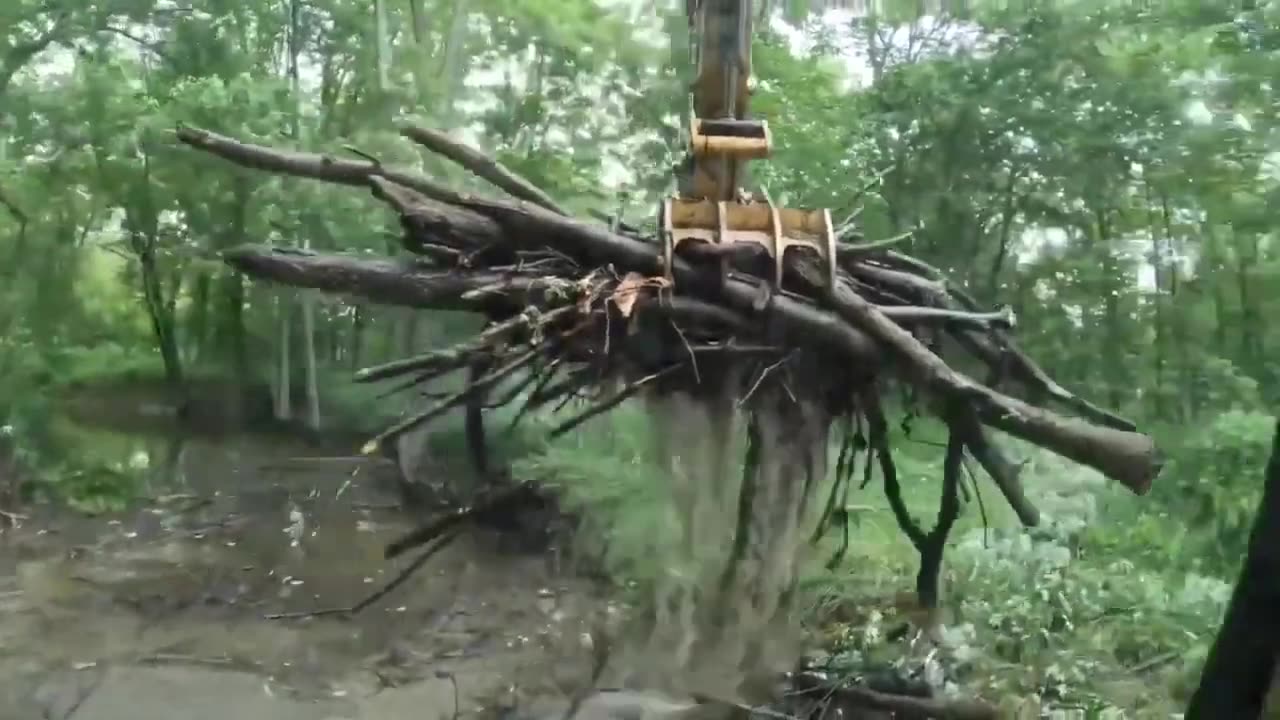 Yonaka Bulldozing: Ep 18 Swamp Land River Clean Out