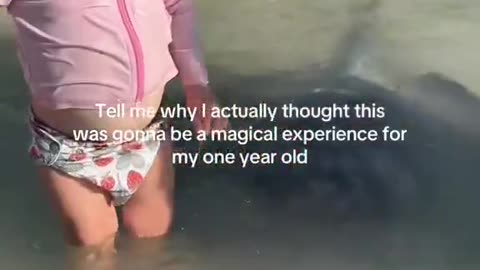 Kids Vs Animals