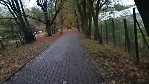 bo taka pogoda ...