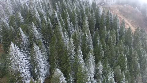 Calm Ocean Waves – Deep Relaxation for Mind and Soul