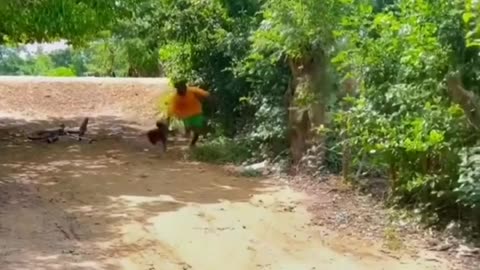Best funny video