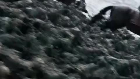 The Impossible March: Suvorov's Epic Crossing of the Alps