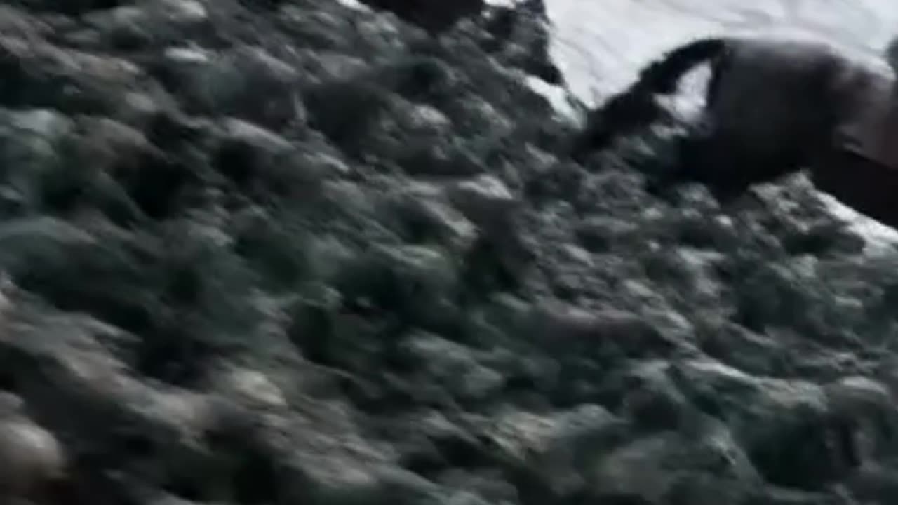 The Impossible March: Suvorov's Epic Crossing of the Alps