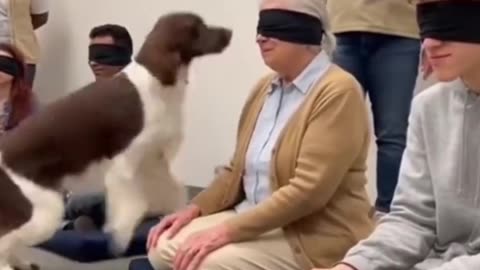 When dogs choose their humans ❤️