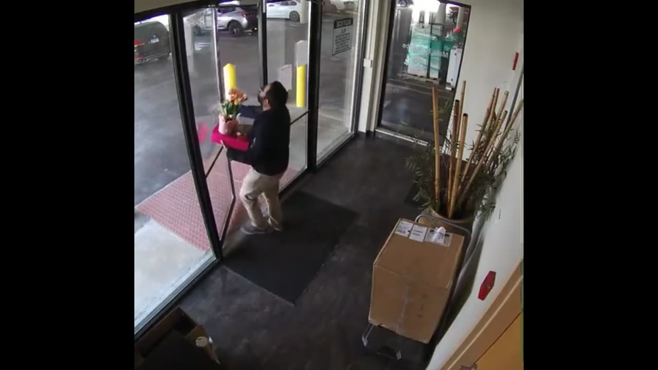 Funny Videos No Context Humor