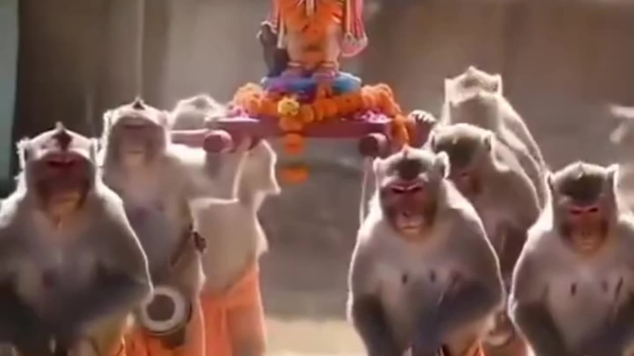 Monkey gang๐๐