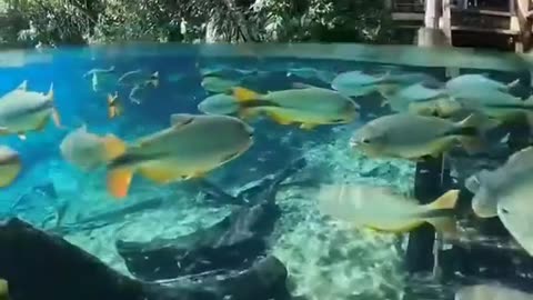 Urban Landscape Photography Beautiful Landscapes Fantastic Images