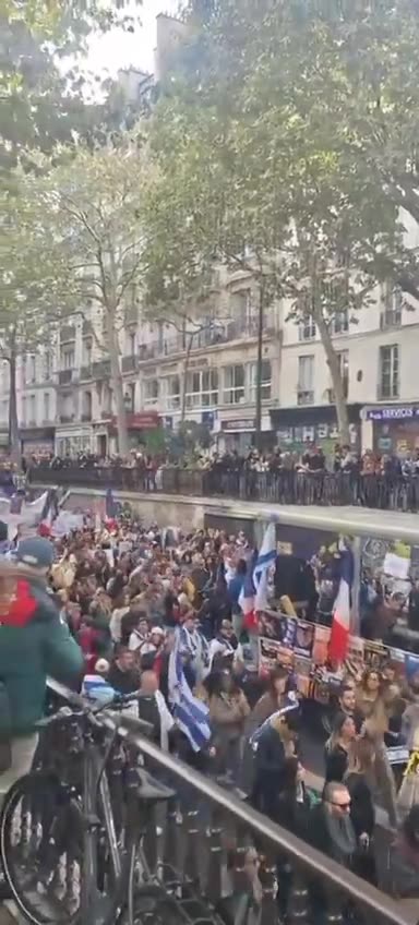Pro-Israel rally in Paris today
