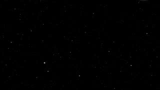 Discerning Organic ETs vs Synthetic ETs -Laura Eisenhower