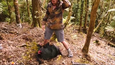 Funny epic pig hunting fail