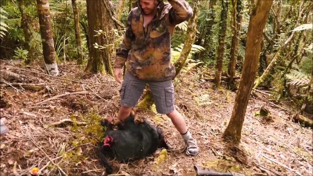 Funny epic pig hunting fail
