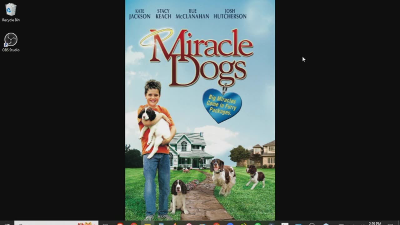 Miracle Dogs Review