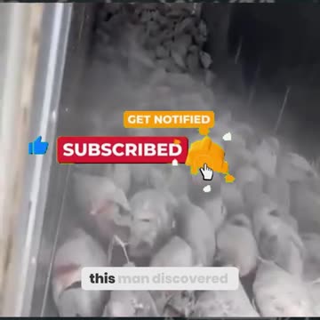 The Secret Fish Hack You’ve Been Missing—Watch This to Unlock the Ultimate Fishing Tips!