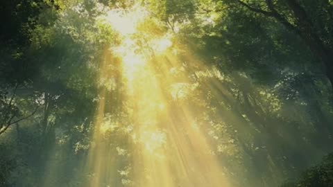 I realized that true wealth is the frequency of harmony with nature itself.