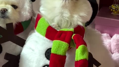 Snowman Gurgles and Howls